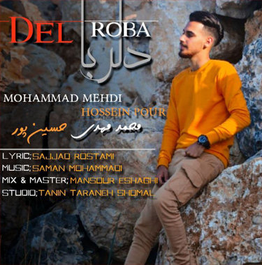 محمدمهدی حسین پور دلربا